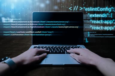 Programmer
